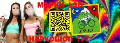 трава Гатчина