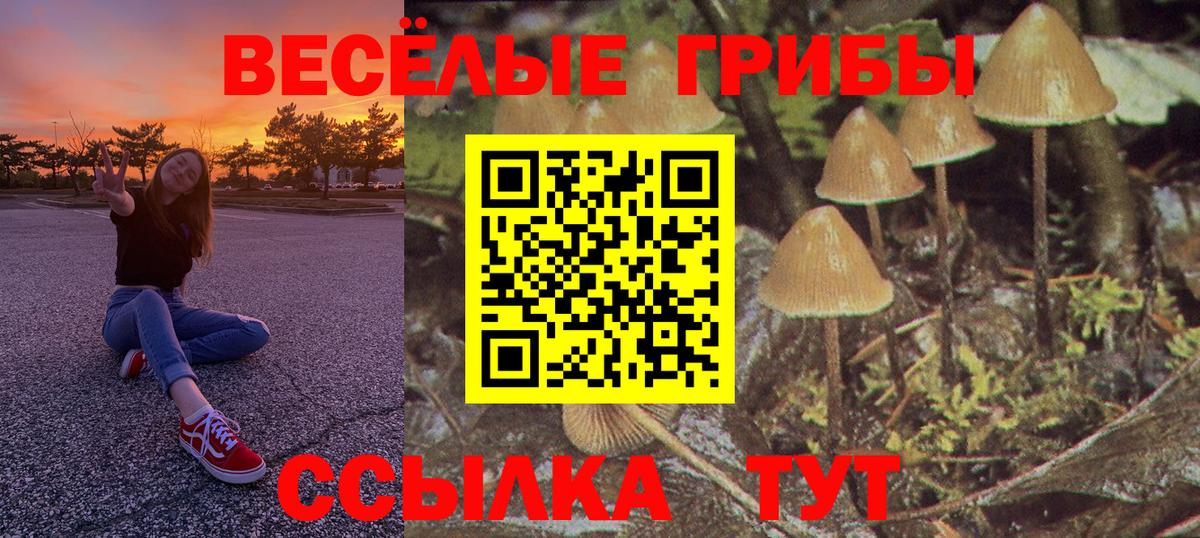 Псилоцибиновые грибы Psilocybine cubensis  Вход с VPN  Назрань 